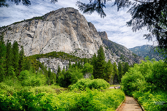 Photo Name:  Zumwalt Trail