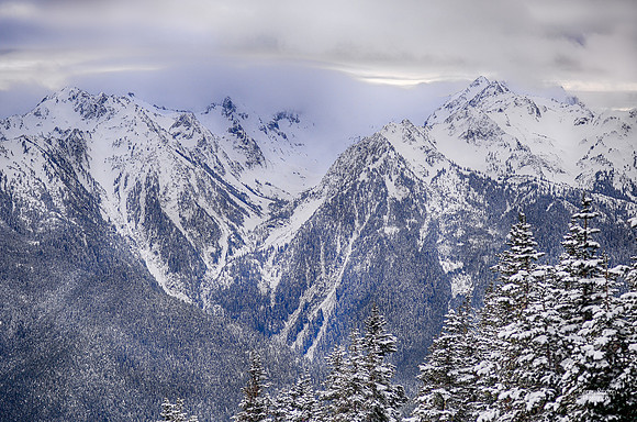 Photo Name: Hurricane Ridge