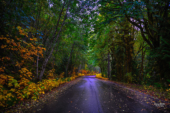 Photo Name: The Green Highway