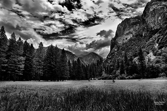 Photo Name: Zumwalt Meadow (Black and White)