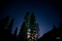 Photo Name: Stars over the Treeline