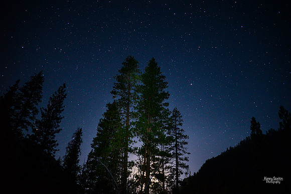 Photo Name: Stars over the Treeline